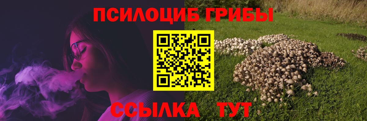Краснознаменск  Псилоцибиновые грибы ЛСД  Вход с VPN 