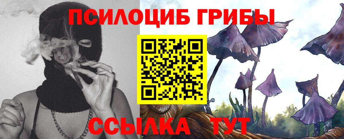 Галлюциногенные грибы Magic Shrooms Краснознаменск